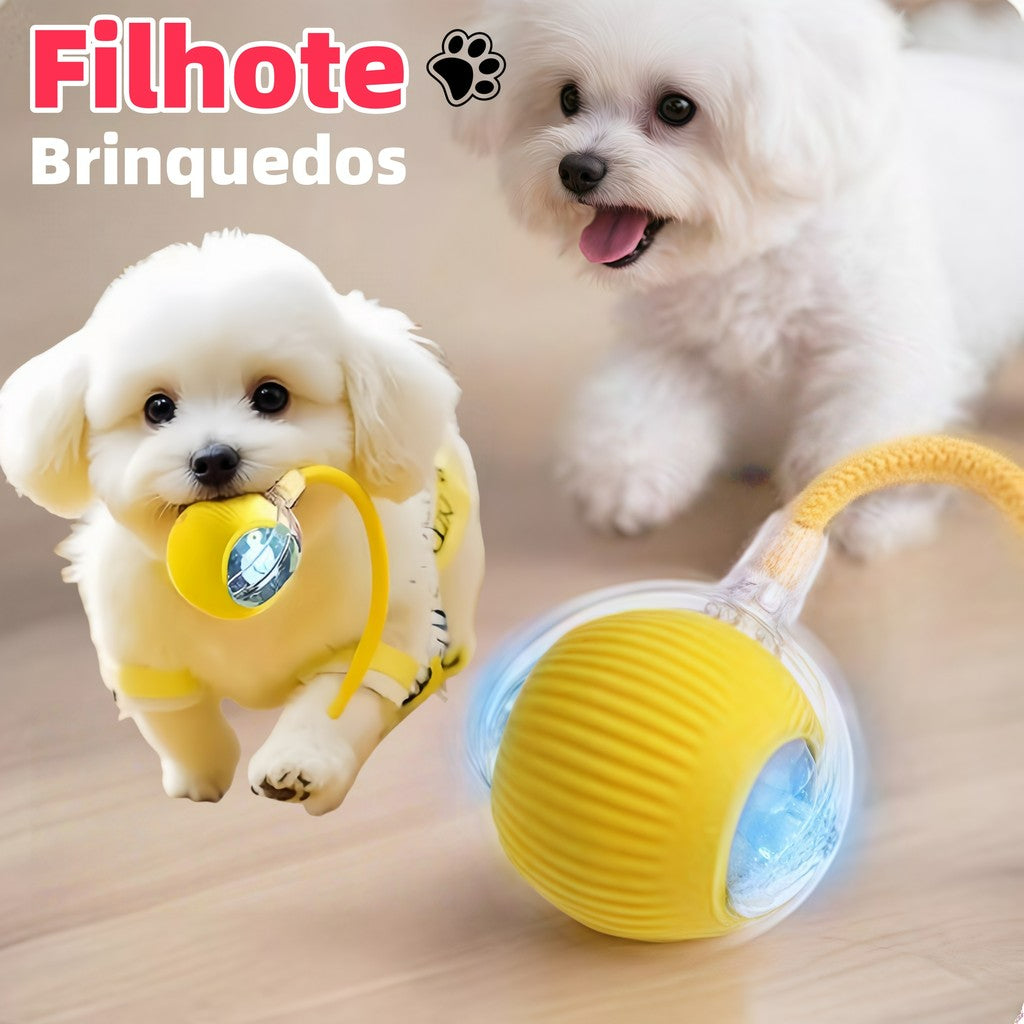 Bola Automática Interativa — Diversão Infinita para Cães e Gatos