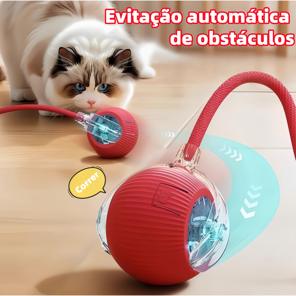 Bola Automática Interativa — Diversão Infinita para Cães e Gatos