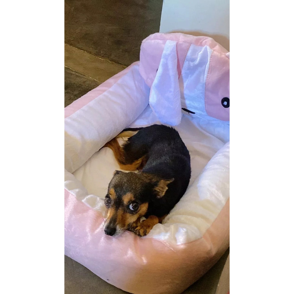 Caminha Pet com Cabeceira — Conforto e Luxo para Cães e Gatos