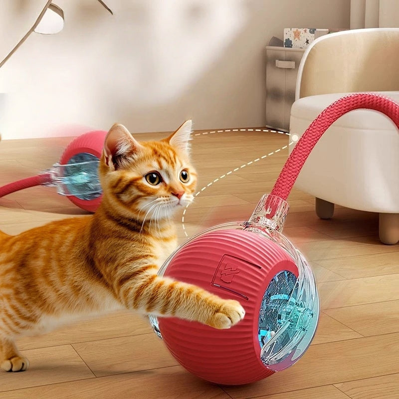 Bola Automática Interativa — Diversão Infinita para Cães e Gatos
