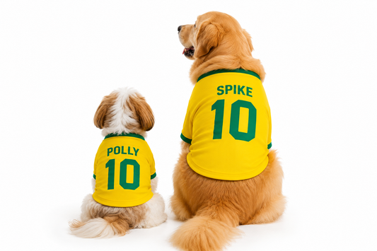 Camiseta Pet Brasil Personalizada — Copa do Mundo com o Nome do Seu Pet 🇧🇷⚽