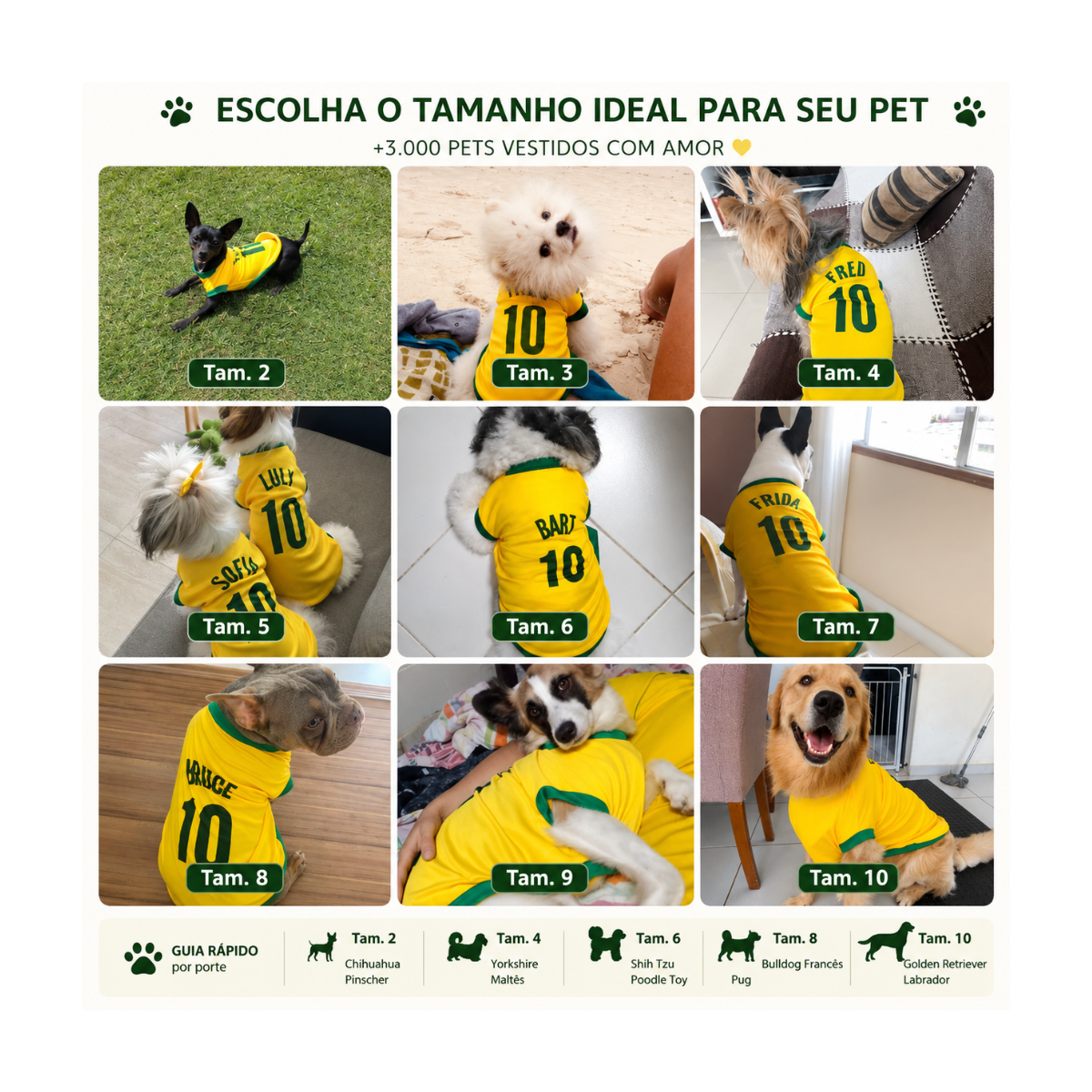 Camiseta Pet Brasil Personalizada — Copa do Mundo com o Nome do Seu Pet 🇧🇷⚽