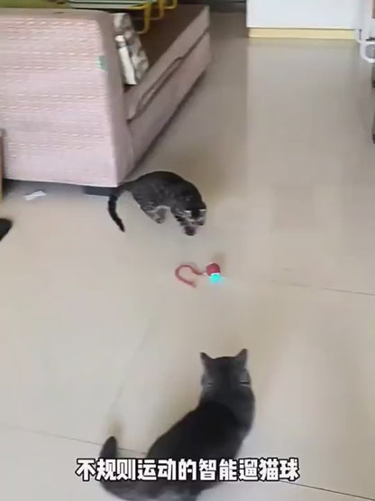 Bola Automática Interativa — Diversão Infinita para Cães e Gatos